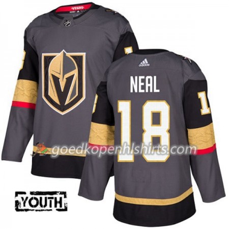 Vegas Golden Knights James Neal 18 Adidas 2017-2018 Grijs Authentic Shirt - Kinderen